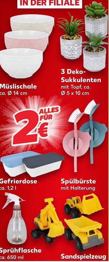 Müslischalen, 3 Deko-Sukkulenten, Gefrierdose, Spülbürste, Sprühflasche und Sandspielzeug – Alles für nur 2 €!