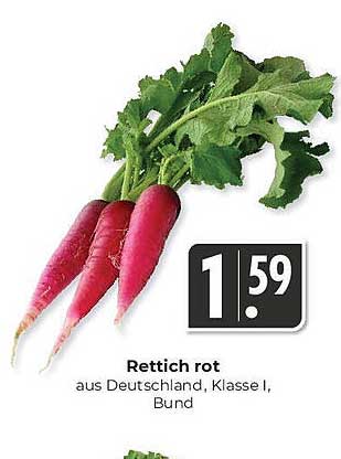 Rettich rot aus Deutschland, Klasse I, Bund