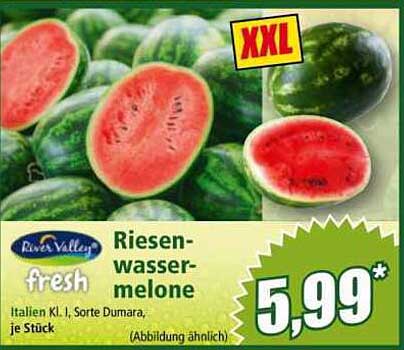 Riesen-Wassermelone - Italien Kl. I, Sorte Dumara, je Stück