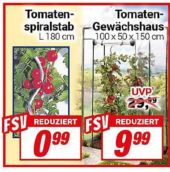 Tomaten-Gewächshaus und Tomaten-Spiralstab - perfekte Begleiter für Ihre Pflanzen