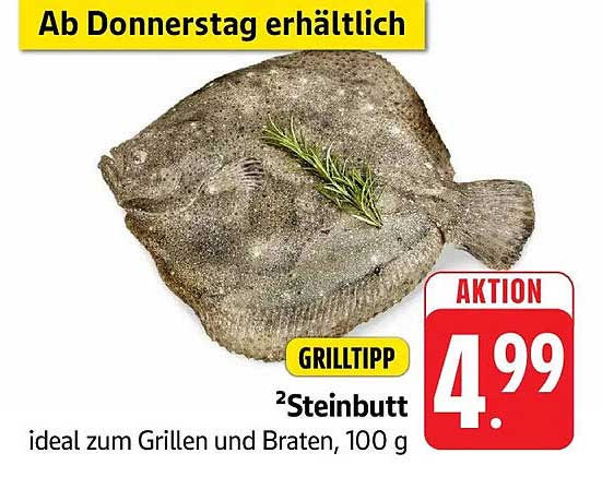 ²Steinbutt