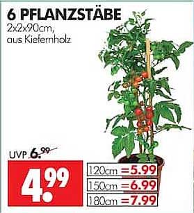 6 PFLANZSTÄBE 2x2x90cm, aus Kiefernholz