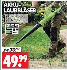 AKKU-LAUBBLASER