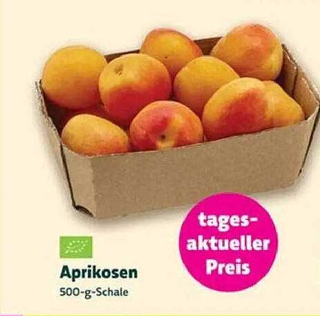 Aprikosen 500-g-Schale