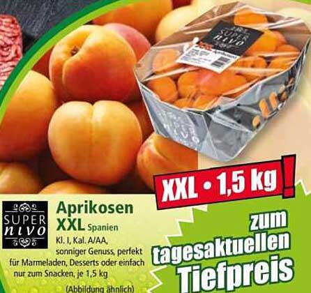 Aprikosen XXL Spanien
