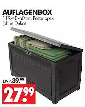 AUFLAGENBOX 119x48x60cm, Rattanoptik (ohne Deko)