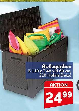 Auflagenbox B 119 x T 48 x H 60 cm, 310 l (ohne Deko)