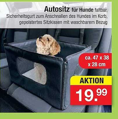 Autositz für Hunde faltbar, Sicherheitsgurt zum Anschnallen des Hundes im Korb, gepolstertes Sitzkissen mit waschbarem Bezug