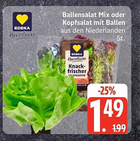Ballensalat Mix oder Kopfsalat mit Ballen aus den Niederlanden St.