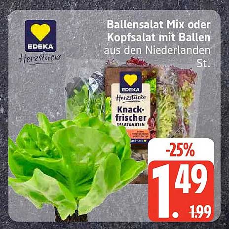 Ballensalat Mix oder Kopfsalat mit Ballen aus den Niederlanden St.