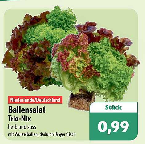 Ballensalat Trio-Mix