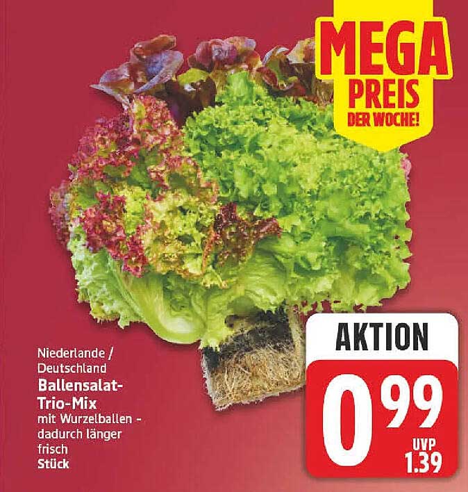 Ballensalat-Trio-Mix mit Wurzelballen - dadurch länger frisch