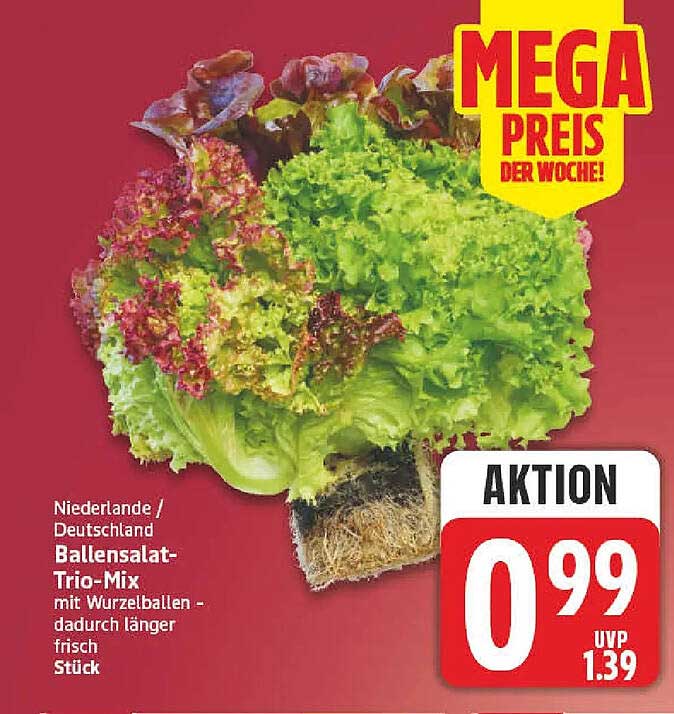 Ballensalat-Trio-Mix mit Wurzelballen - dadurch länger frisch
