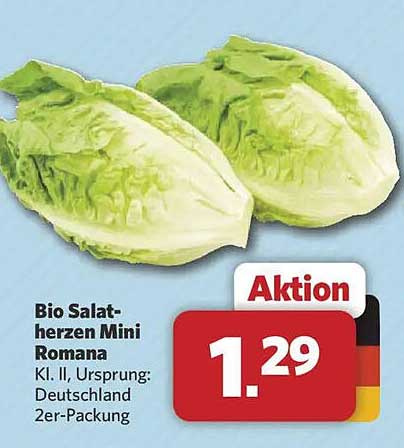 Bio Salat-herzen Mini Romana