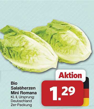 Bio Salatherzen Mini Romana