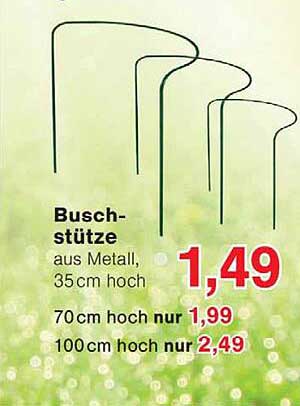 Busch-stütze
