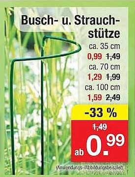 Busch- u. Strauchstütze