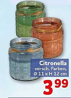 Citronella versch. Farben, Ø 11 x H 12 cm