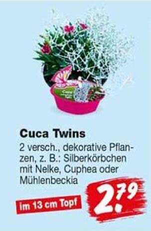 Cuca Twins