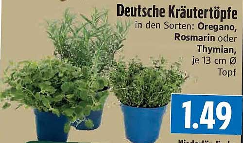 Deutsche Kräutertöpfe in den Sorten: Oregano, Rosmarin oder Thymian, je 13 cm Ø Topf