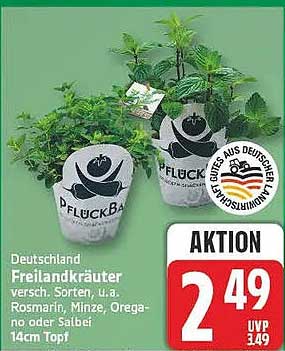 Deutschland Freilandkräuter versch. Sorten, u.a. Rosmarin, Minze, Oregano oder Salbei 14cm Topf