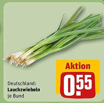 Deutschland: Lauchzwiebeln je Bund