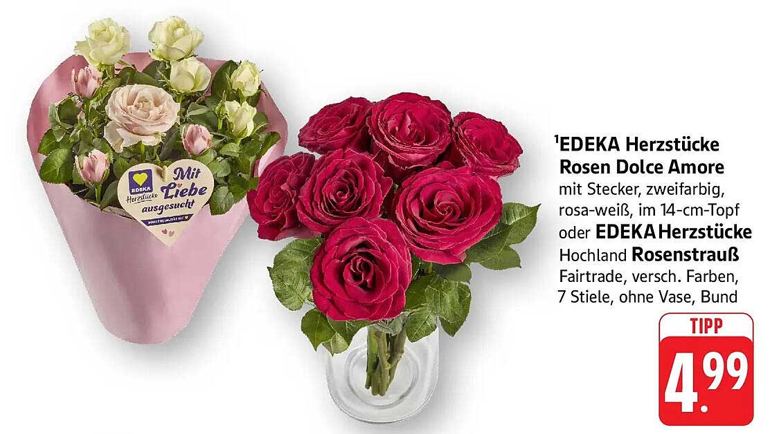 EDEKA Herzstücke Rosen Dolce Amore mit Stecker, zweifarbig, rosa-weiß, im 14-cm-Topf oder EDEKA Herzstücke Hochland Rosenstrauß Fairtrade, versch. Farben, 7 Stiele, ohne Vase, Bund