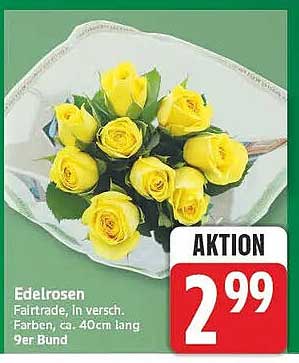 Edelrosen Fairtrade, In versch. Farben, ca. 40cm lang 9er Bund
