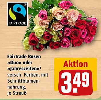 Fairtrade Rosen »Duo« oder »Jahreszeiten«¹ versch. Farben, mit Schnittblumen-nahrung, je Strauß