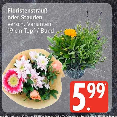 Floristenstrauß oder Stauden
versch. Varianten
19 cm Topf / Bund