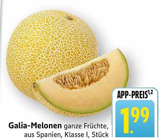 Galia-Melonen ganze Früchte, aus Spanien, Klasse I, Stück