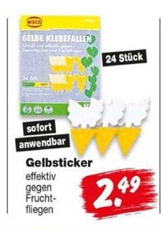 Gelbsticker effektiv gegen Fruchtfliegen