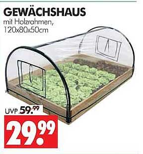 GEWÄCHSHAUS