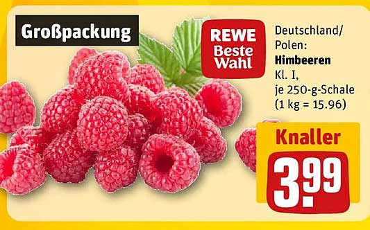Großpackung REWE Beste Wahl Himbeeren