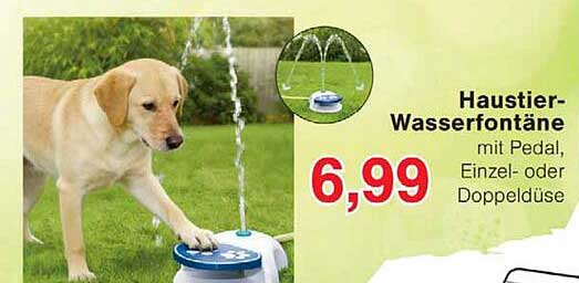 Haustier-Wasserfontäne mit Pedal, Einzel- oder Doppeldüse