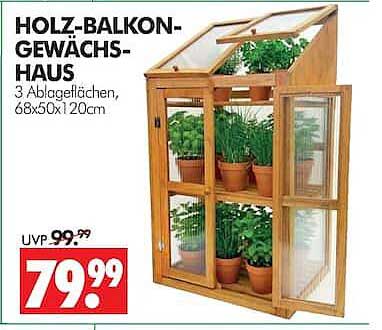 HOLZ-BALKON-GEWÄCHS-HAUS