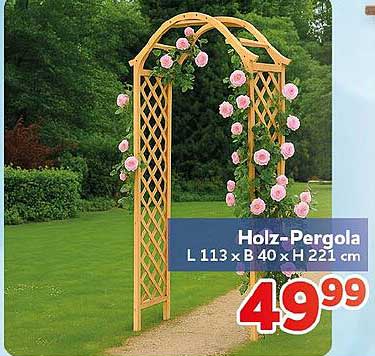 Holz-Pergola L 113 x B 40 x H 221 cm