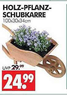 HOLZ-PFLANZ-SCHUBKARRE 100x30x34cm