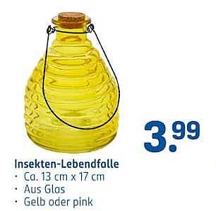 Insekten-Lebendfalle