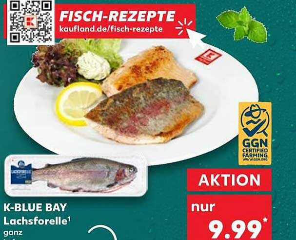 K-BLUE BAY Lachsforelle¹ ganz