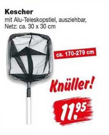 Kescher mit Alu-Teleskopstiel, ausziehbar, Netz: ca. 30 x 30 cm