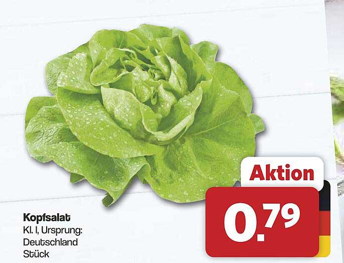 Kopfsalat