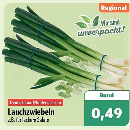 Lauchzwiebeln z.B. für leckere Salate