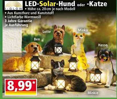 LED-Solar-Hund oder -Katze