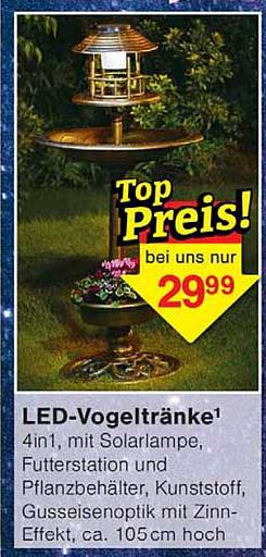 LED-Vogeltränke¹