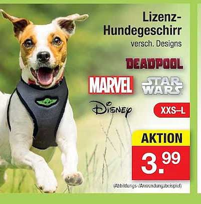 Lizenz-Hundegeschirr verscH. Designs