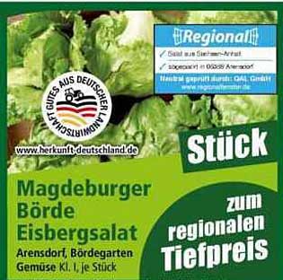 Magdeburger Börde Eisbergsalat