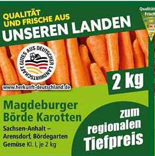 Magdeburger Börde Karotten