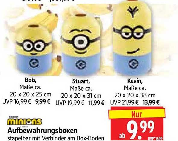 Minions Aufbewahrungsboxen