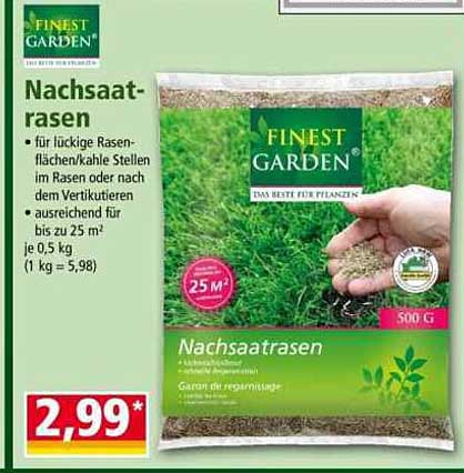 Nachsaatrasen